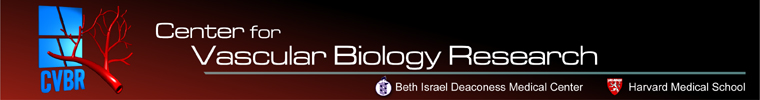 Center for Vascular Biology Research